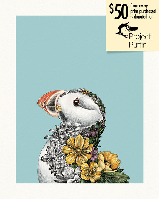 Atlantic Puffin – Giclée Print