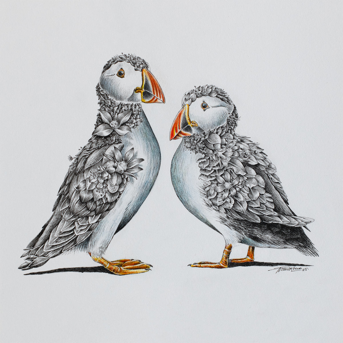 Puffin Couple – ORIGINAL