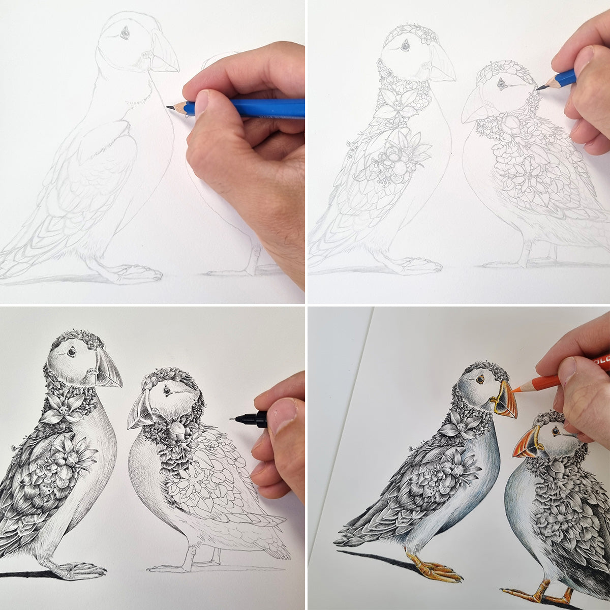 Puffin Couple – ORIGINAL