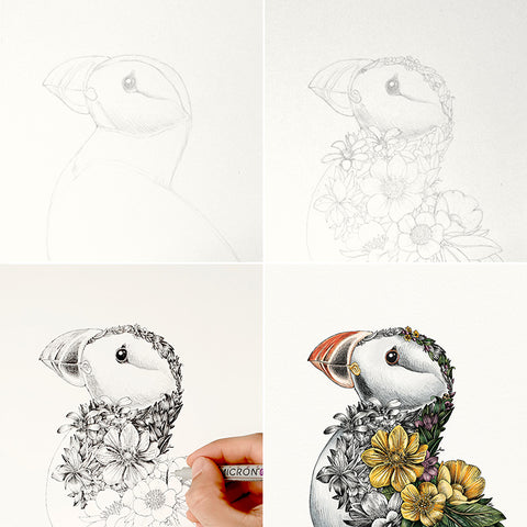 Atlantic Puffin – Giclée Print