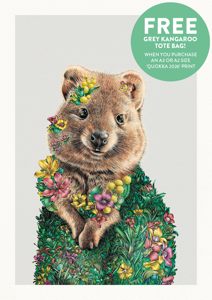 Quokka (2026) – Limited Edition Print