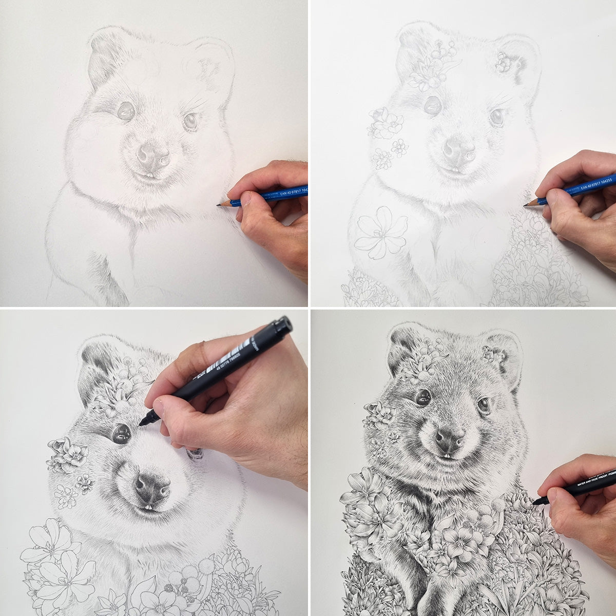 Quokka (2026) – Limited Edition Print