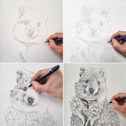 Quokka (2026) – Limited Edition Print