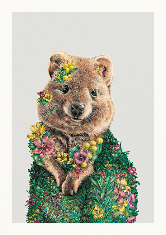 Quokka (2026) – Limited Edition Print