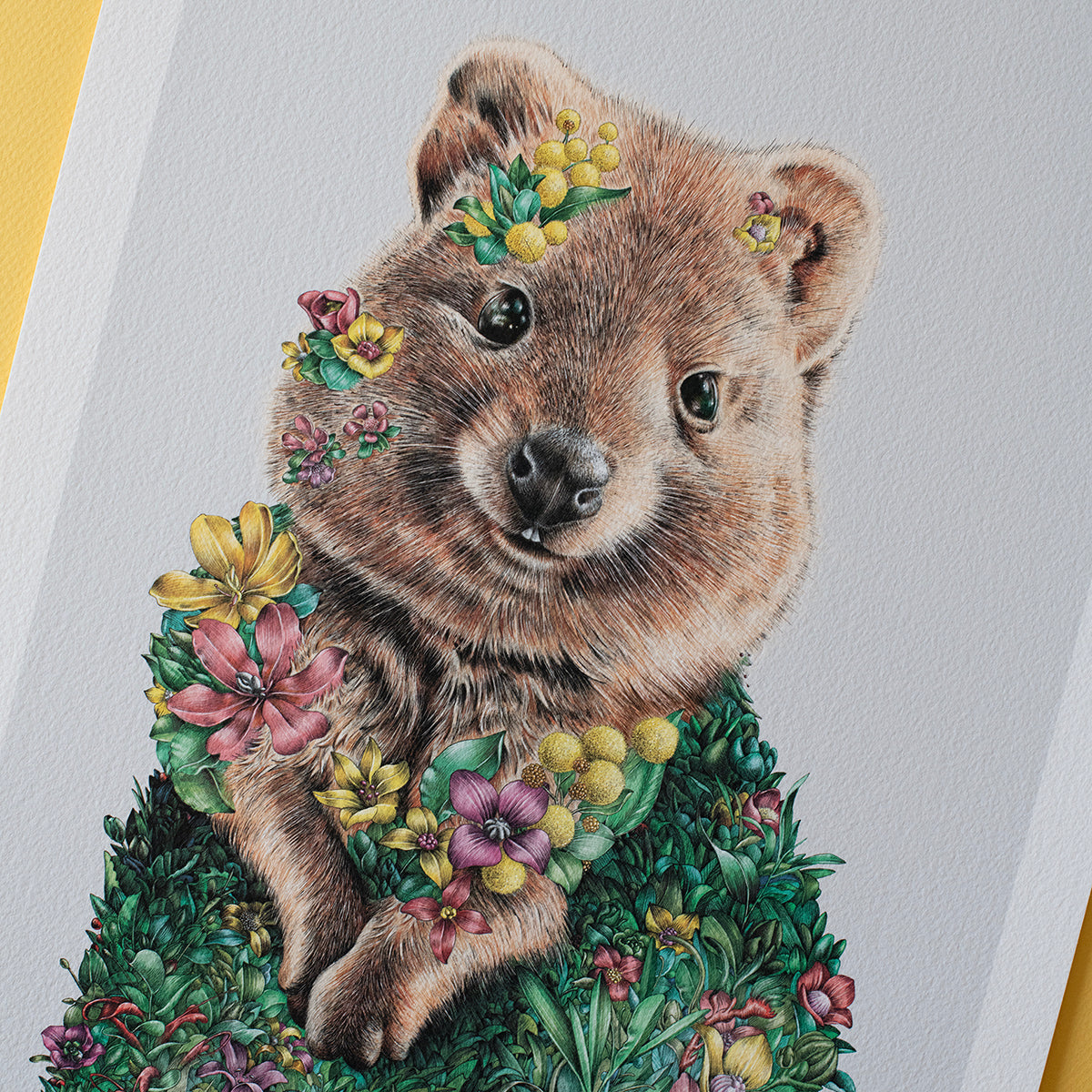 Quokka (2026) – Limited Edition Print