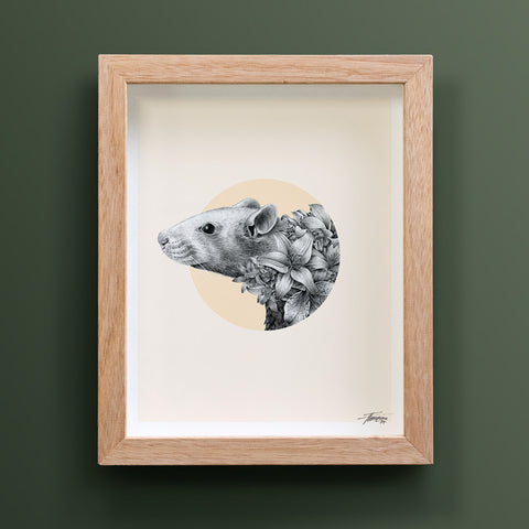 Rat Chinese Zodiac – Limited Edition Print