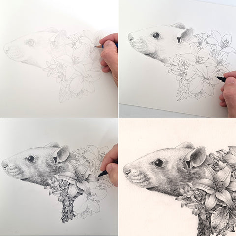 Rat Chinese Zodiac – Limited Edition Print