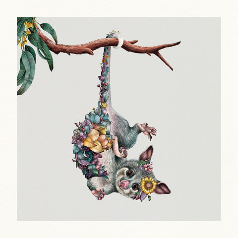 Ringtail Possum – Limited Edition Print