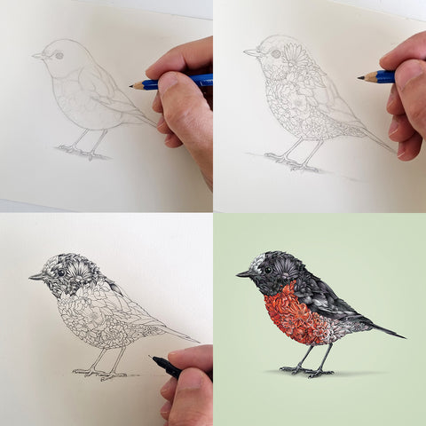 Scarlet Robin – Giclee Print