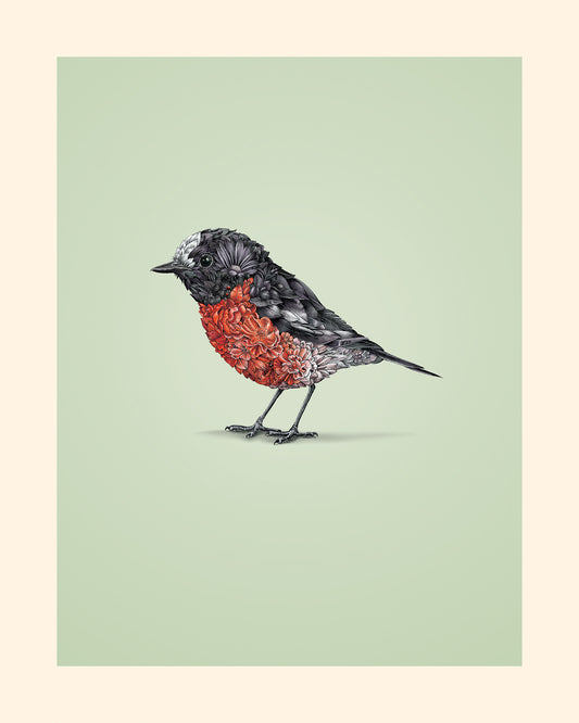 Scarlet Robin – Giclee Print