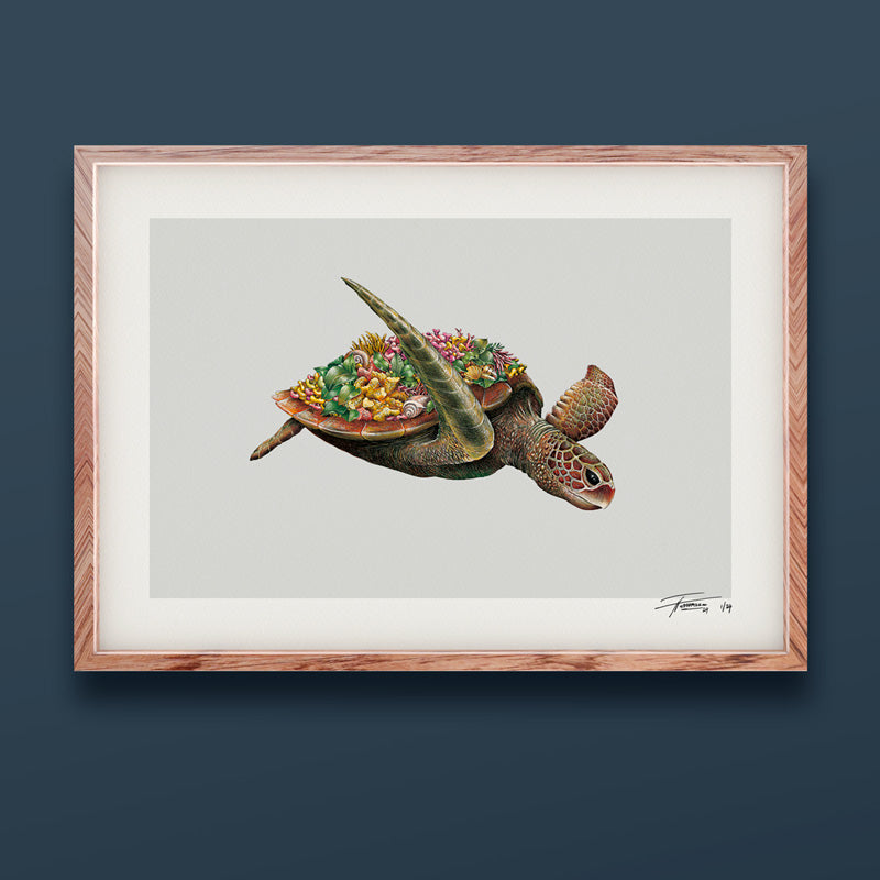 Green Sea Turtle – Limited Edition Print