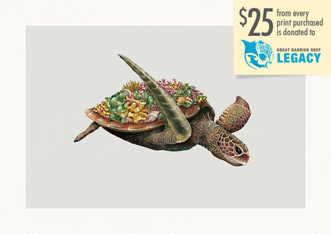 Green Sea Turtle – Limited Edition Print