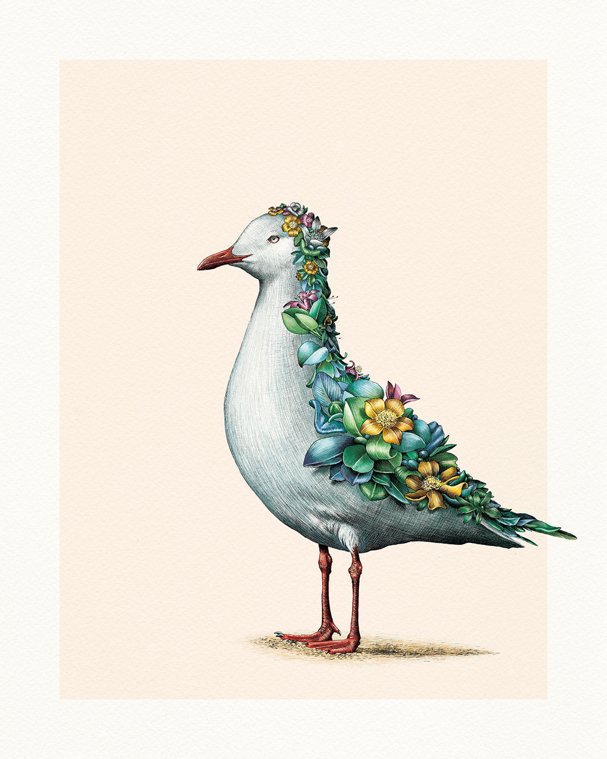 Silver Gull – Limited Edition Print