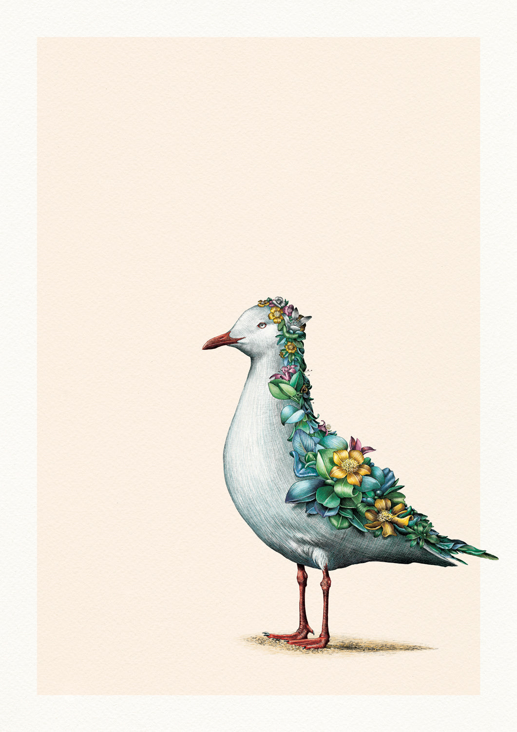 Silver Gull – Limited Edition Print