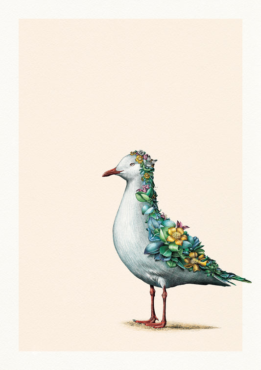 Silver Gull – Limited Edition Print