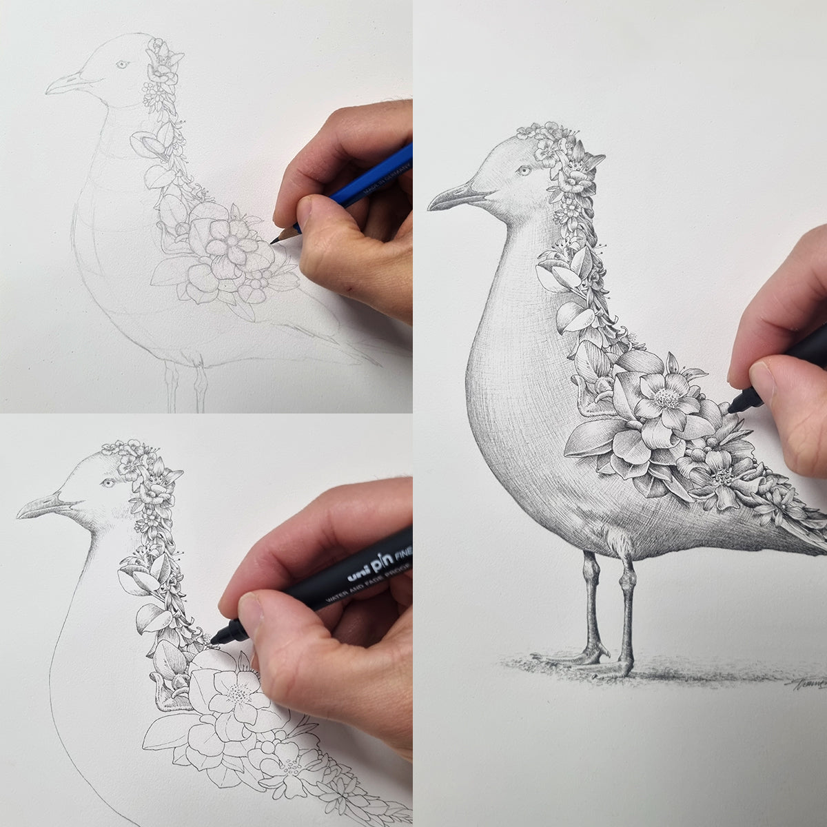 Silver Gull – Limited Edition Print