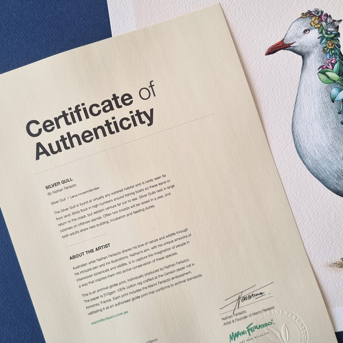 Silver Gull – Limited Edition Print
