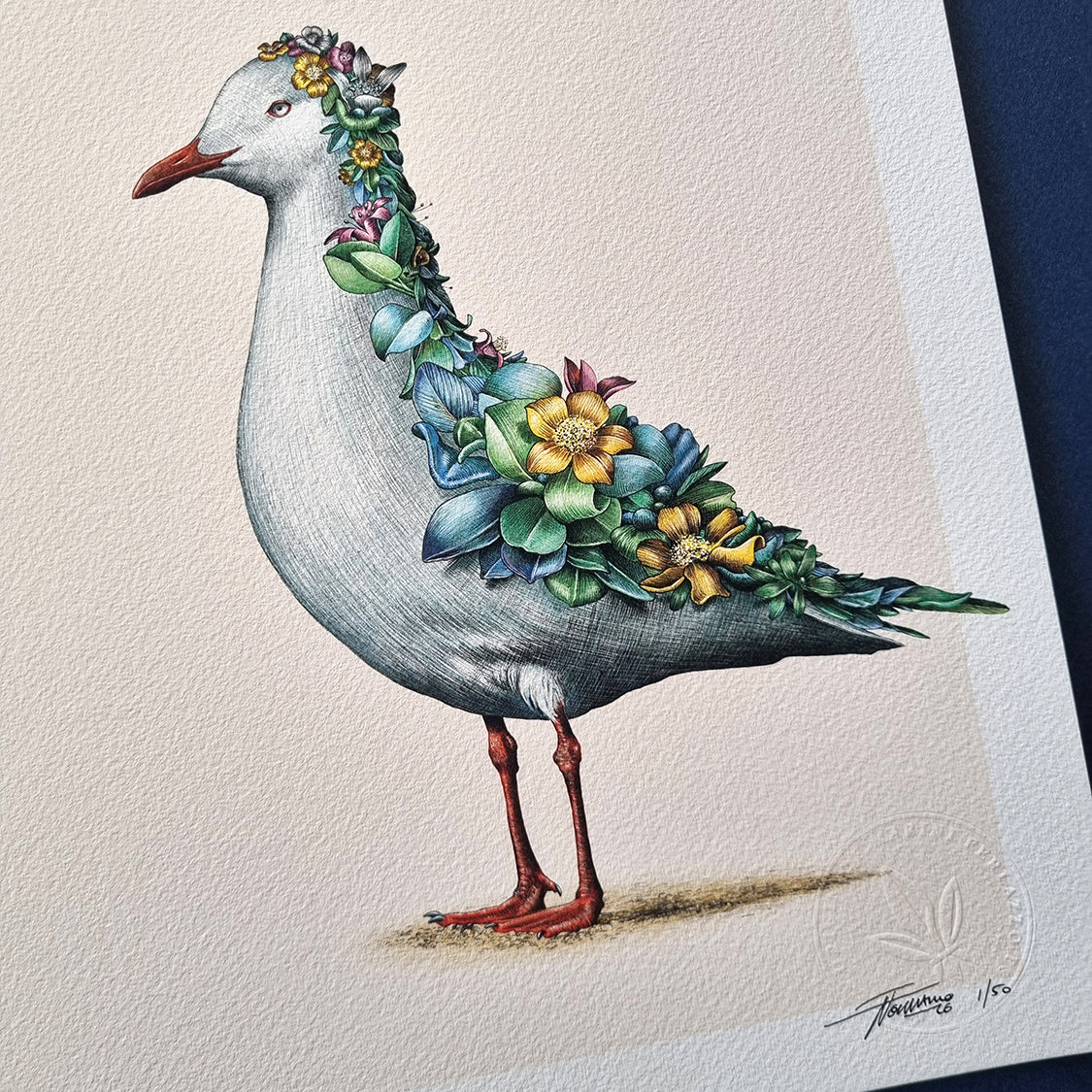Silver Gull – Limited Edition Print