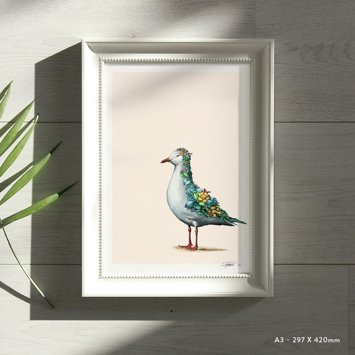 Silver Gull – Limited Edition Print