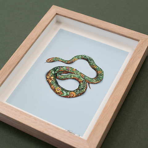 Snake – Framed First Edition Print