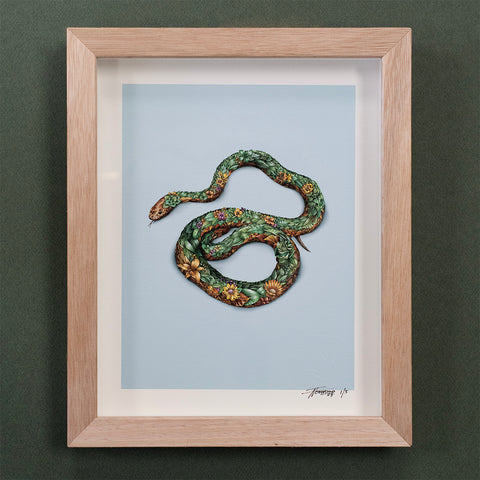 Snake (Coastal Taipan) – Giclee Print