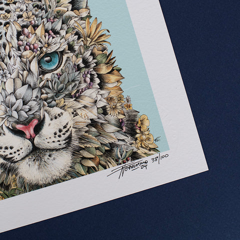 Snow Leopard – Giclée Print