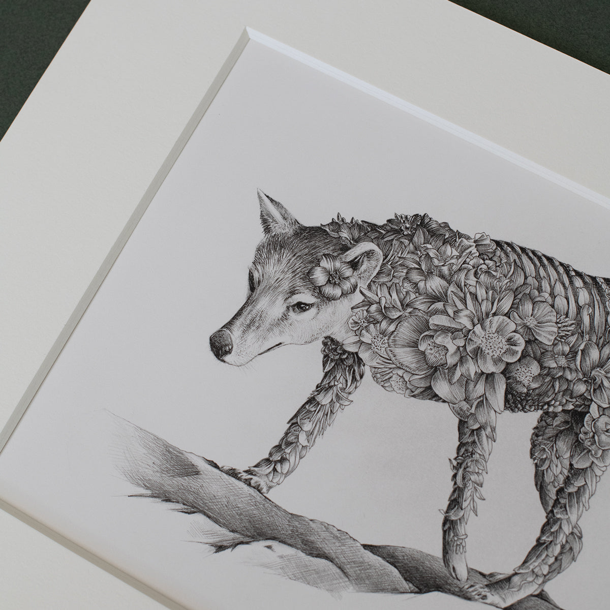 Thylacine (Tasmanian Tiger) – ORIGINAL