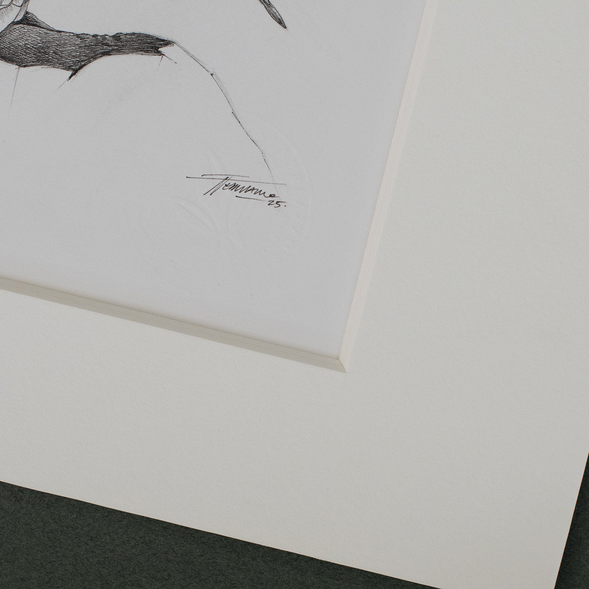 Thylacine (Tasmanian Tiger) – ORIGINAL