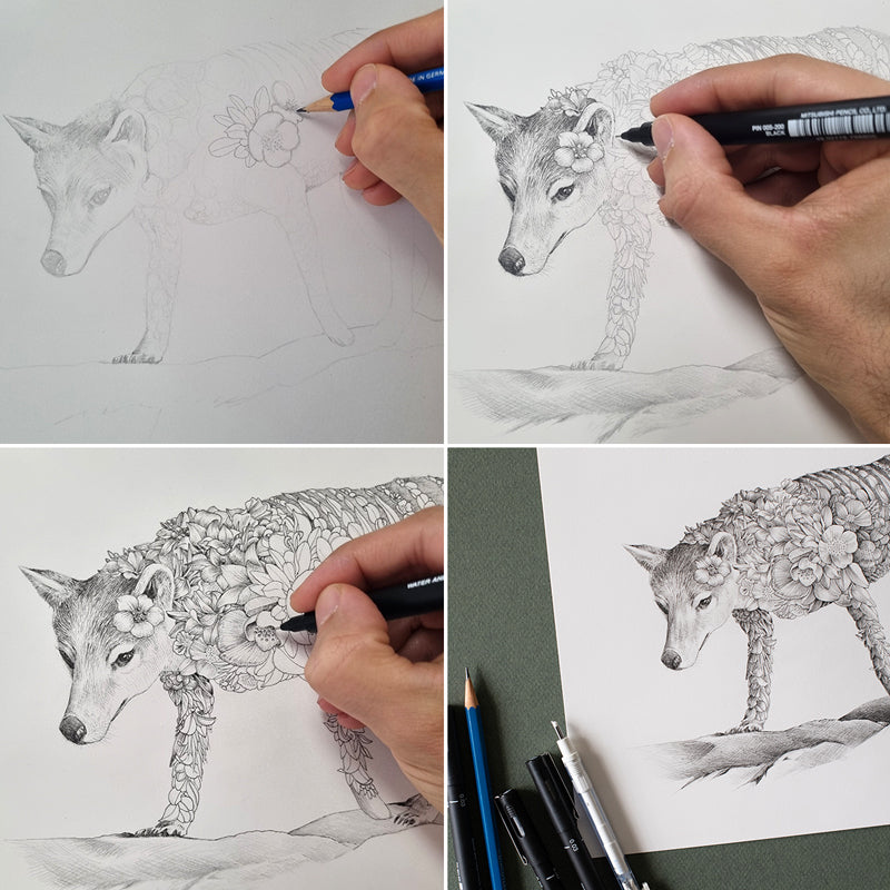 Thylacine (Tasmanian Tiger) – ORIGINAL