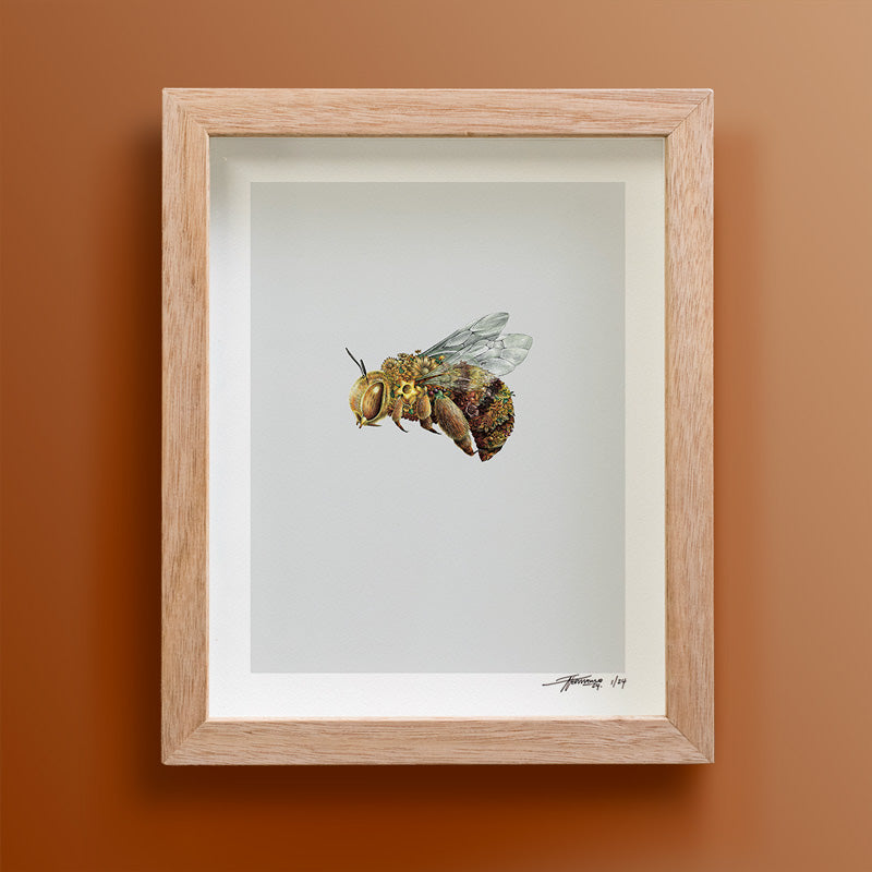 Teddy Bear Bee – Limited Edition Print
