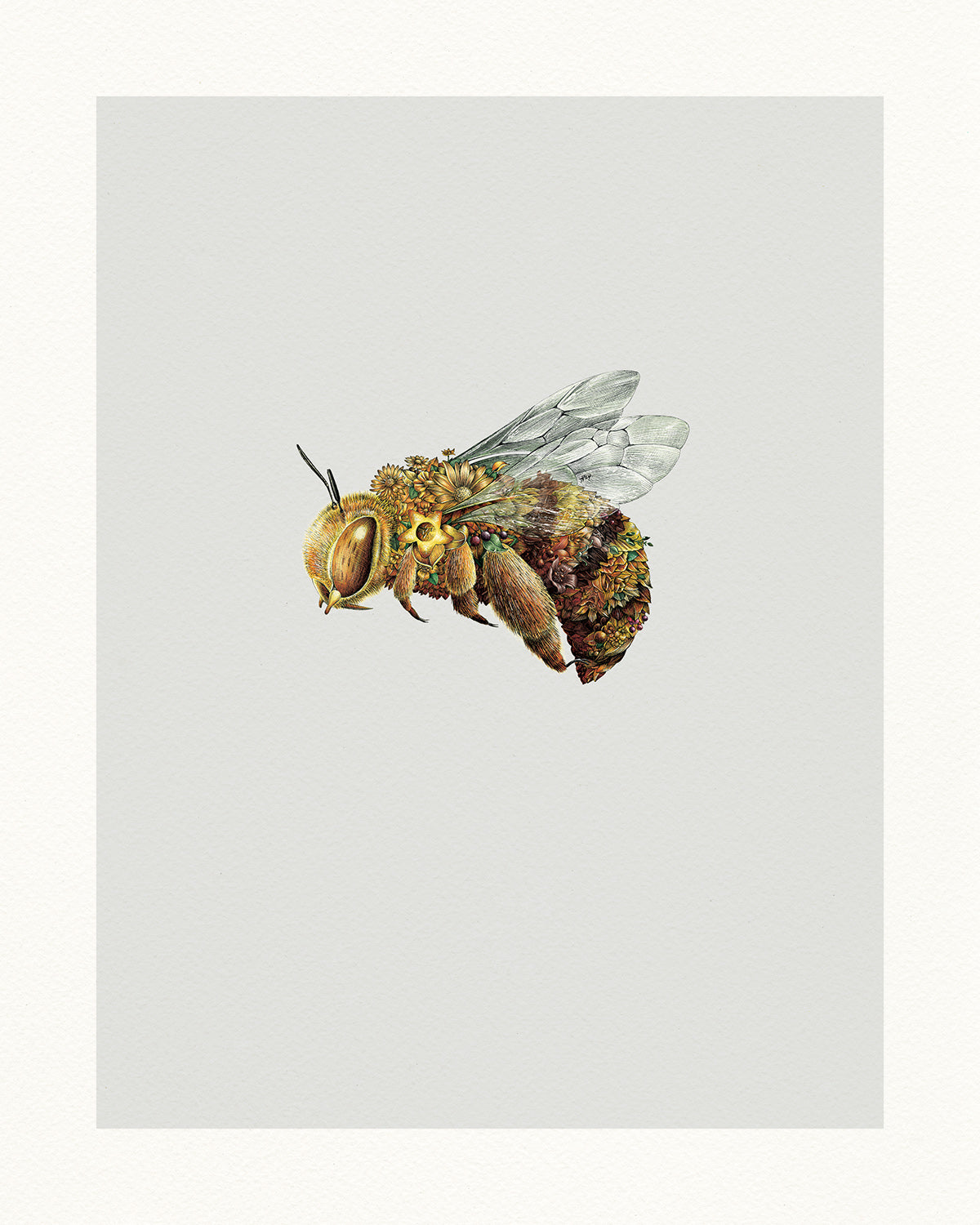 Teddy Bear Bee – Limited Edition Print