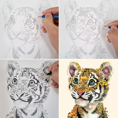 Tiger Cub – Giclée Print