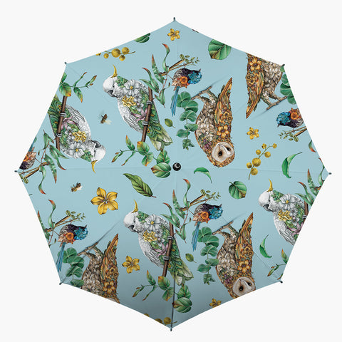 Umbrella – Birds of Australia