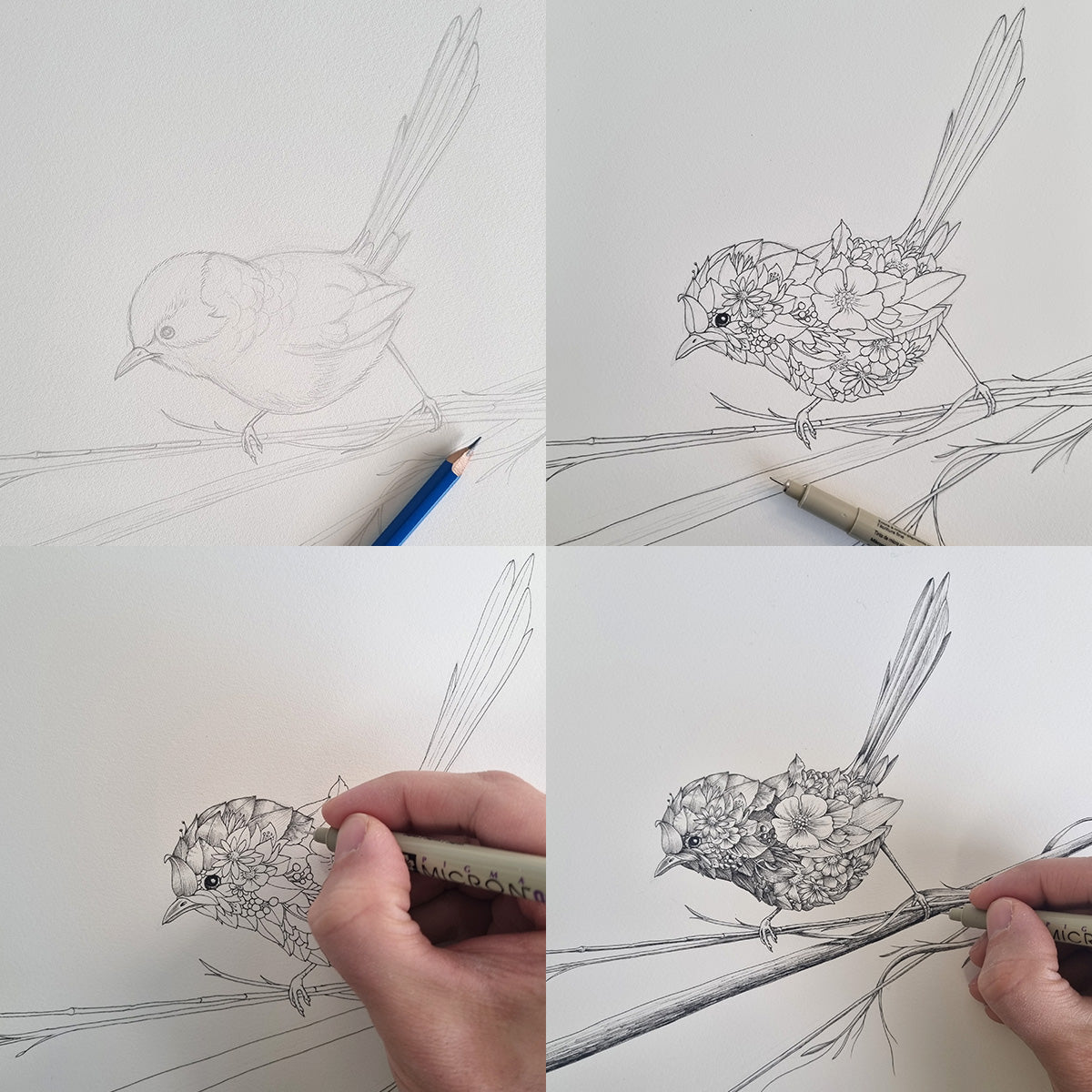 Wren Bushwalk - Giclée Print
