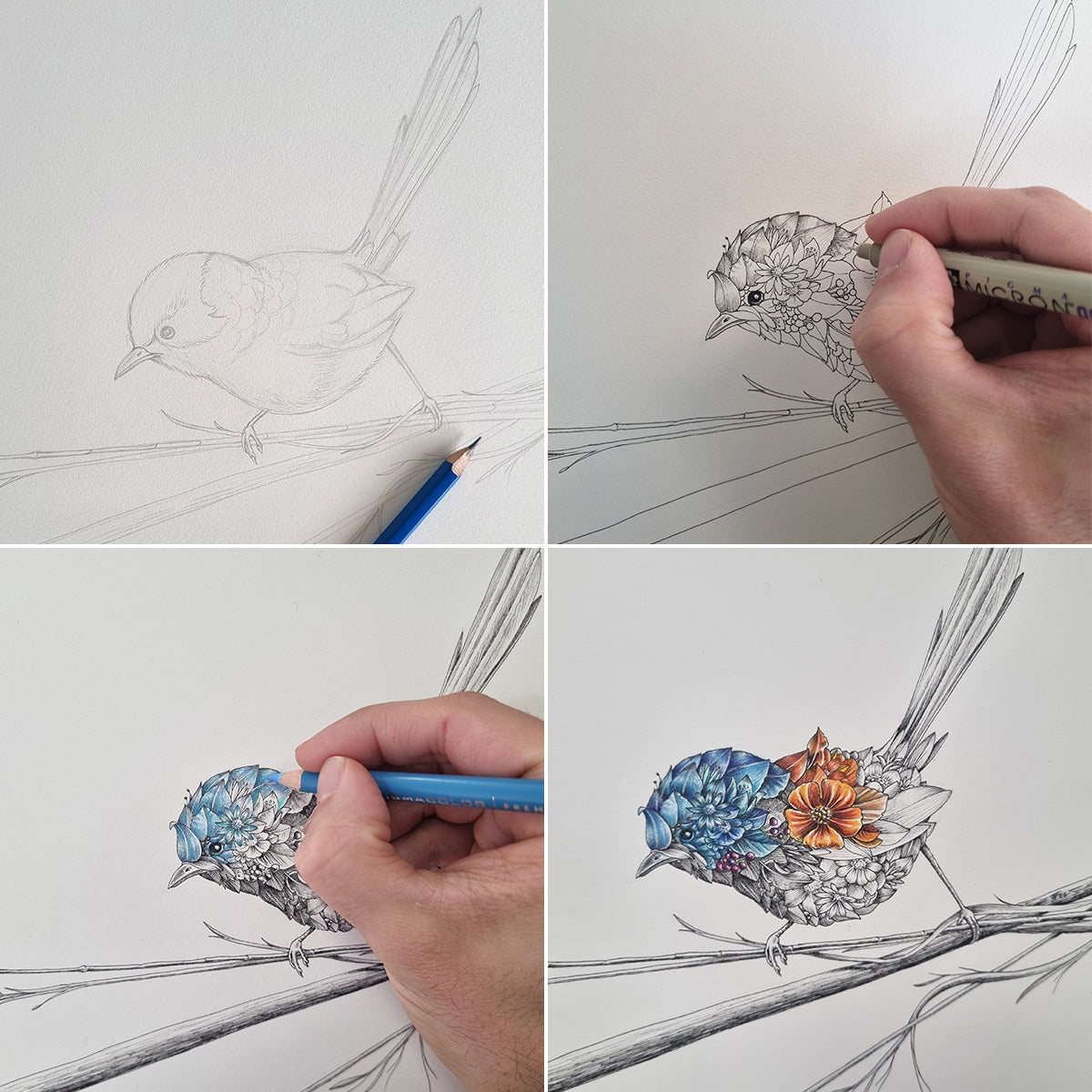 Variegated Fairy-wren – ORIGINAL
