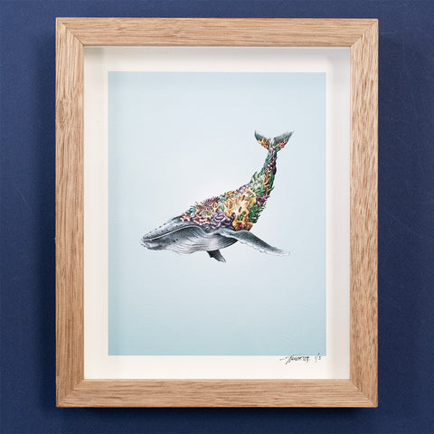 Humpback Whale – Giclee Print