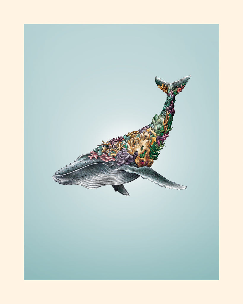 Humpback Whale – Giclee Print
