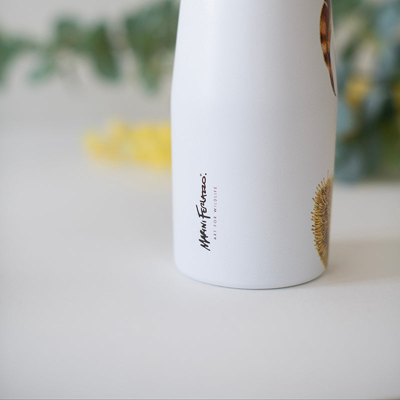 Double Wall Insulated Drink Bottle 550ml – Wombat