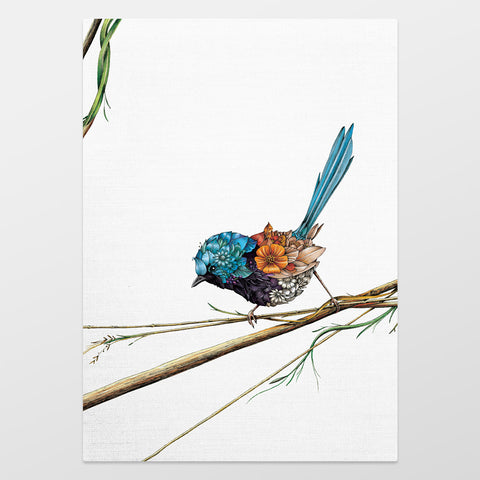 Organic Cotton Tea Towel – Variegated Fairy-wren