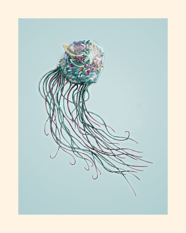 Box Jellyfish – Giclee Print