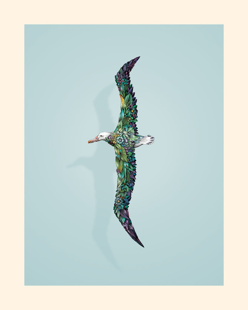 Albatross – Giclee Print
