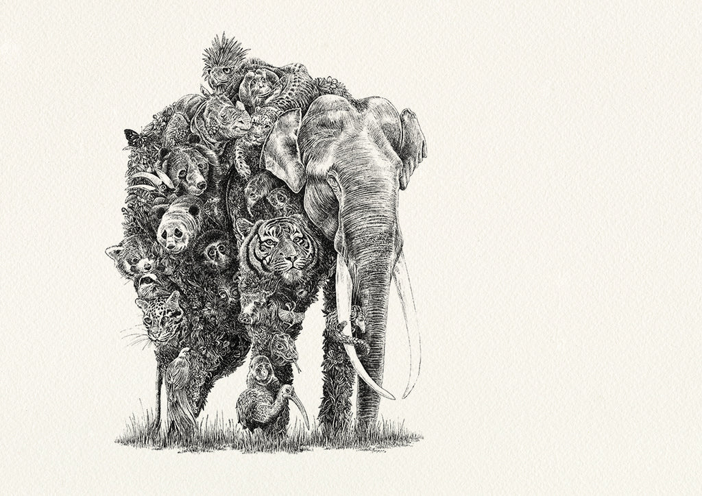 Asian Elephant / Asia - Giclée Print