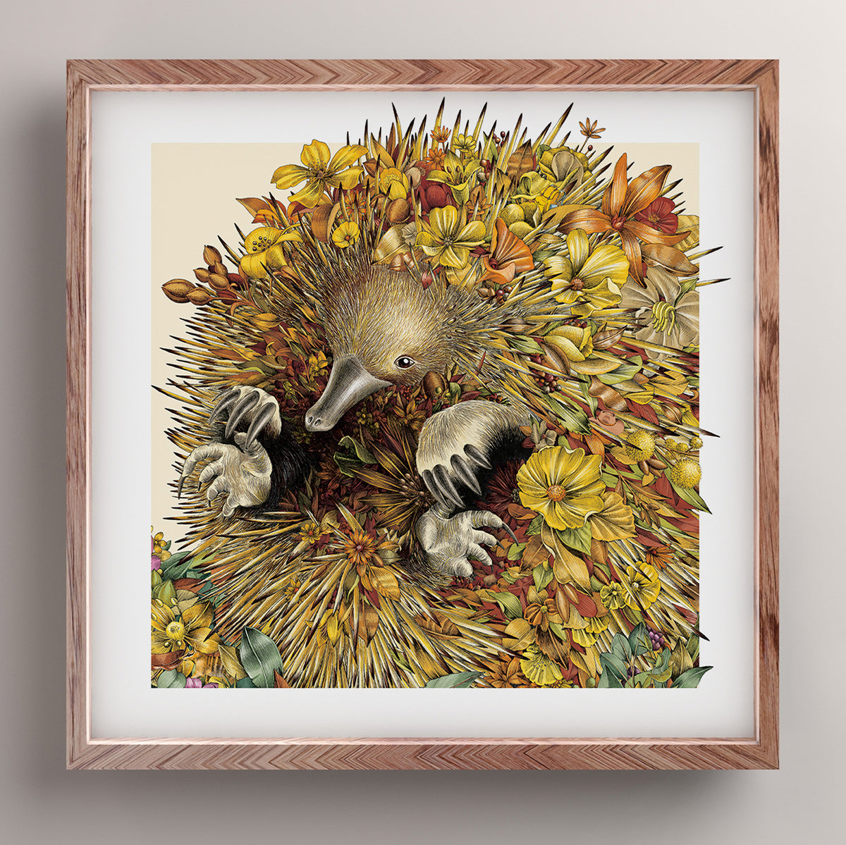 Easy-going Echidna - Giclée Print
