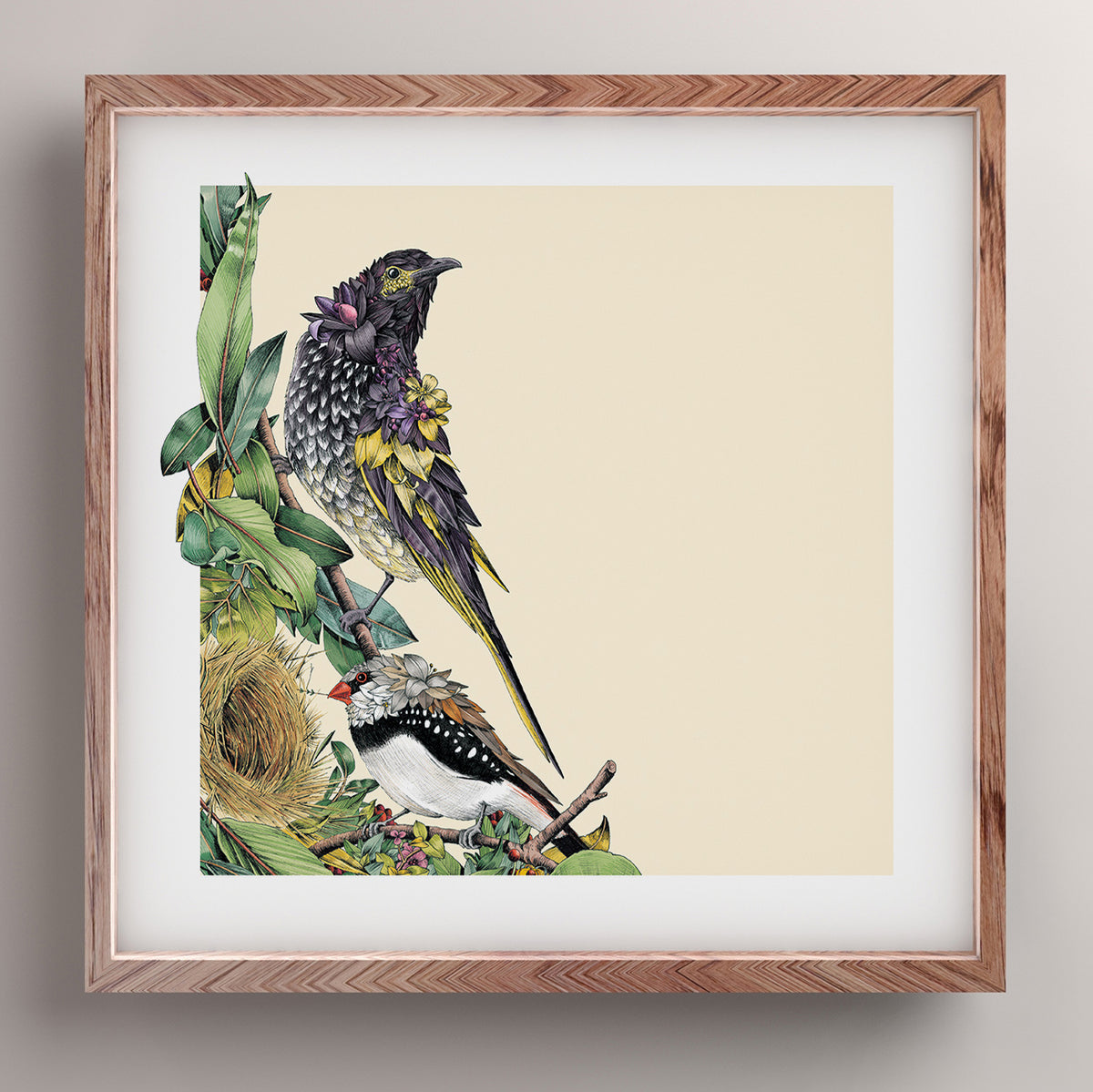 Regent Honeyeater - Giclée Print