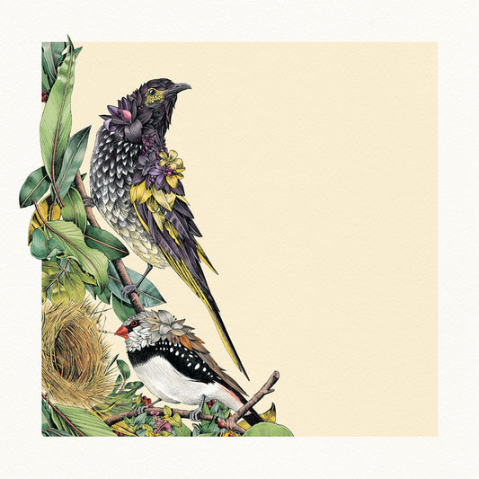 Regent Honeyeater - Giclée Print