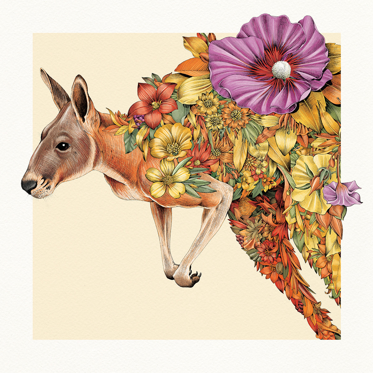 Rapid Red Kangaroo - Giclée Print