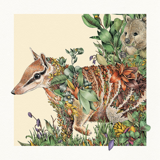 Nelly the Numbat - Giclée Print
