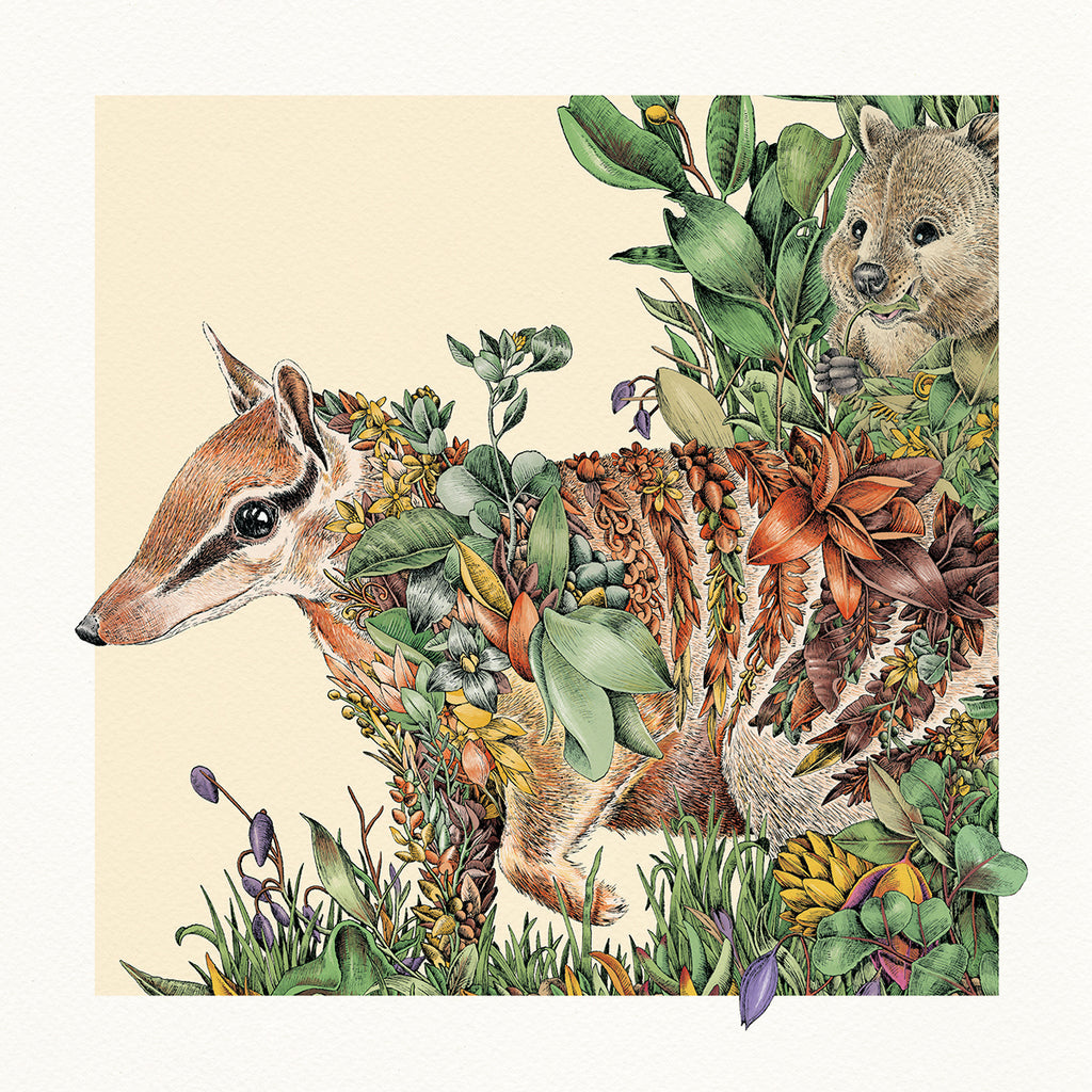 Nelly the Numbat - Giclée Print