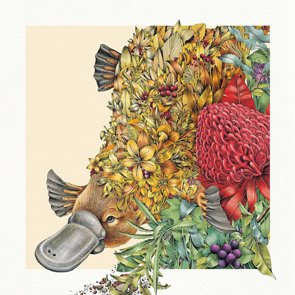 Playful Platypus - Giclée Print