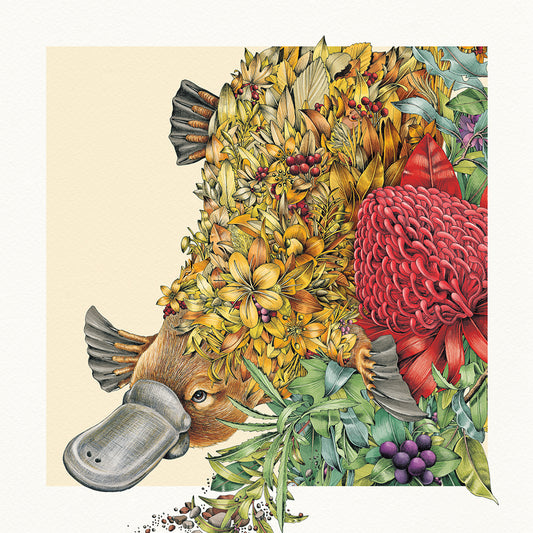 Playful Platypus - Giclée Print